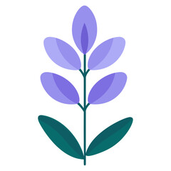 Wall Mural - individual salvia of colorful flower illustration minimalist design vector