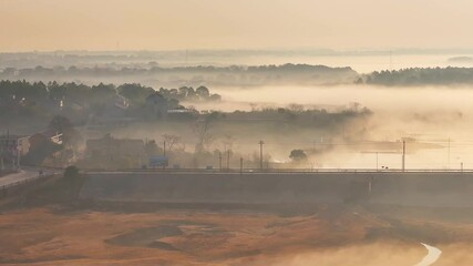 Canvas Print - Morning fog in the forest at sunrise