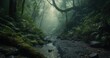 © KHAIDIR - Mystical Rainforest Path