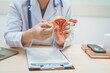 © R Photography - Male doctor treating female uterine diseases at hospital table, discussing uterine disease models,diagnosing uterine tumors, endometriosis,bacterial vaginitis,cervical cancer,HPV-related infections