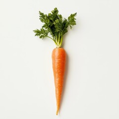 Wall Mural - Single fresh orange carrot with green leaves on white background. (7)