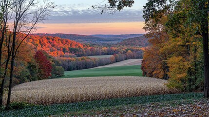 Wall Mural - Autumnal valley landscape with colorful foliage and harvested cornfield.