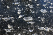 © Westend61 - Broken ice crystals scattered on black surface