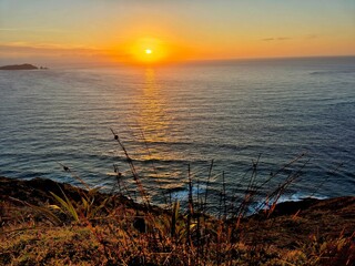 Wall Mural - Scenic sunset view over the ocean from a grassy cliff, with vibrant orange and blue hues in the sky