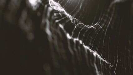 Wall Mural - dark flowing lines background/ animation of an abstract technology background of powerful lines slow