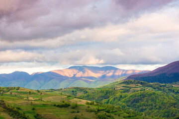 Wall Mural - mountain landscape in spring. highlands of ukraine. countryside scenery with rolling hills. sky with