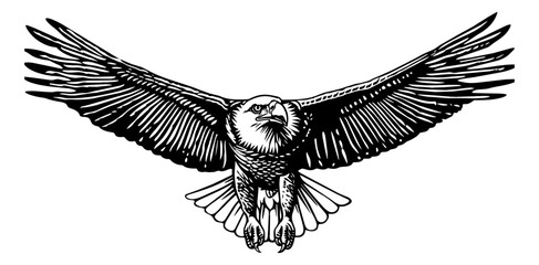 Wall Mural - bald eagle fly engraving black and white outline