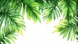 © TI3ee - Lush tropical palm leaves watercolor illustration on white background with copy space
