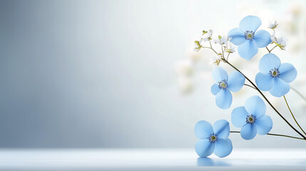 Wall Mural - A blue flower is on a white background. The flower is in the center of the image