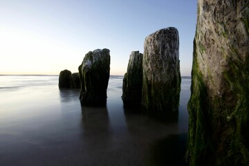 Poster - Moss-Covered Posts in Tranquil Seascape