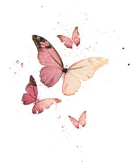 Wall Mural - PNG Butterflies sparkle light glitter background butterfly effect.