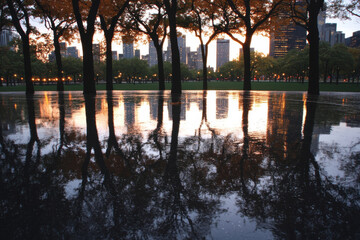 Wall Mural - A city skyline is reflected in a pond