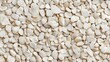 © StudioFF - Minimalist Texture of Small White Stones / 小さな白い石のミニマルなテクスチャ