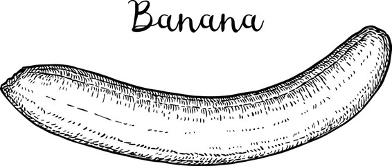 Wall Mural - peeled banana ink sketch.