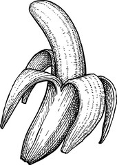 Wall Mural - half-peeled banana ink sketch
