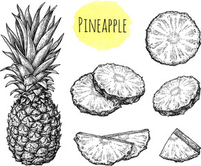 Wall Mural - pineapple ink sketch