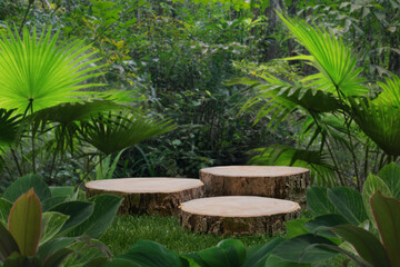 Wall Mural - Wood stump podium table top on grass outdoors in tropical forest nature background.natural product present pedestal wooden stand display,healthy life or eco concept.