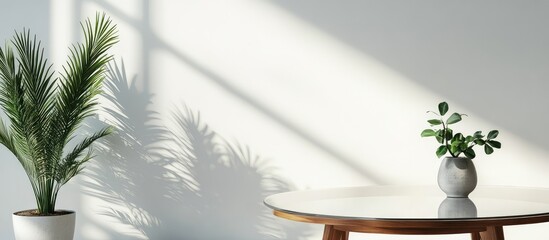 Wall Mural - sunlit glass coffee table with wooden legs on white wall background featuring green plant and shadow