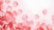Delicate Pink Roses Arranged with Minimal White Space for Text