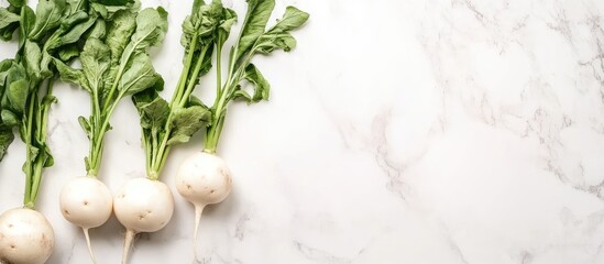 Wall Mural - Fresh white turnips with green tops arranged on a marble surface with Copy Space for text placement.