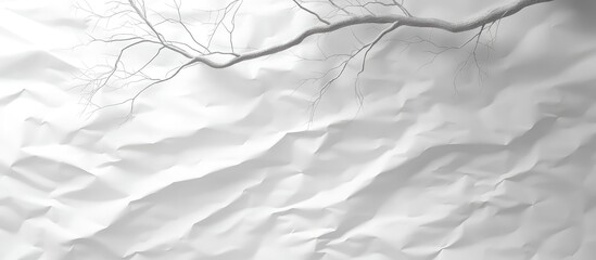 Abstract white crinkled paper texture with a dry branch silhouette at the top and copy space for design elements