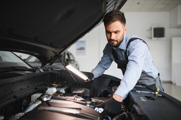 Leinwandbilder - Troubleshooting process. Auto mechanic working in garage. Repair service