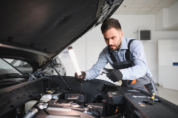 Leinwandbilder - Troubleshooting process. Auto mechanic working in garage. Repair service