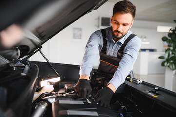 Leinwandbilder - Troubleshooting process. Auto mechanic working in garage. Repair service
