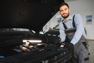 Leinwandbilder - Troubleshooting process. Auto mechanic working in garage. Repair service