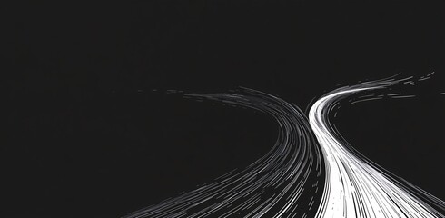 Wall Mural - Abstract black and white light trails on a dark background