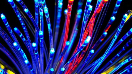 Poster - Colorful fiber optic cables illuminated in dark setting, abstract technology and data transfer concept
