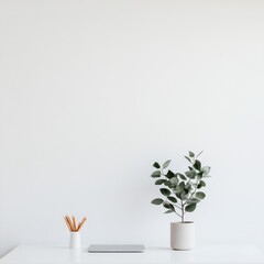 Poster - Minimalist Workspace Design Sleek Laptop and Potted Plant on Crisp White Desk - Modern Wellness Office Aesthetics for Enhanced Focus and Creativity