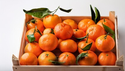 Wall Mural - mandarins and tangerines