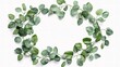 © CLOVER BACKGROUND - Elegant Eucalyptus Wreath Frame with Fresh Green Leaves Design