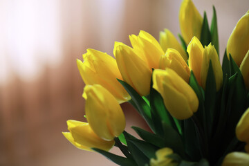 Wall Mural - Tulip flowers close-up in a vase. Mothers Day.