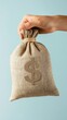 © olga_demina - Hand holds a small burlap money bag with a dollar sign on it, representing savings, investment, and financial growth against a minimalist light blue backdrop