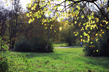 Wall Mural - Beautiful autumn park. Russian North. Autumn trees and leaves. Autumn Landscape.Park in Autumn. Forest in Autumn.