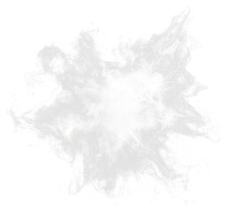 Wall Mural - png firework white background fireworks smoke.