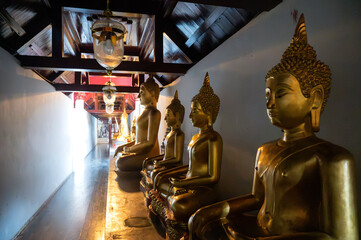 Row of golden Buddha statues inside a temple, reflecting cultural and spiritual heritage, in Thailand