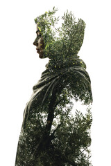 Wall Mural - PNG Female Moroccan olive farmer tree silhouette exposure.