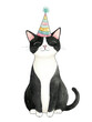 © supattra - Black and white cat wearing a birthday hat, children's book illustration style, simple art style, pastel colors on transparent background.