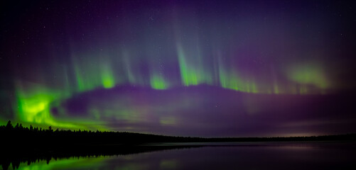 Wall Mural - panorama of bright green aurora in a purple sky all reflecting in a calm lake