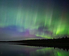Wall Mural - colorful green purple and red northern lights reflecting in a calm lake with stars