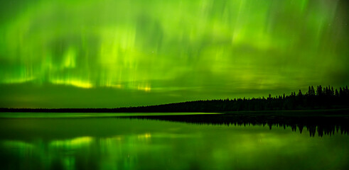 Wall Mural - panorama of bright green aurora reflecting in a calm northern lake with trees along the shore