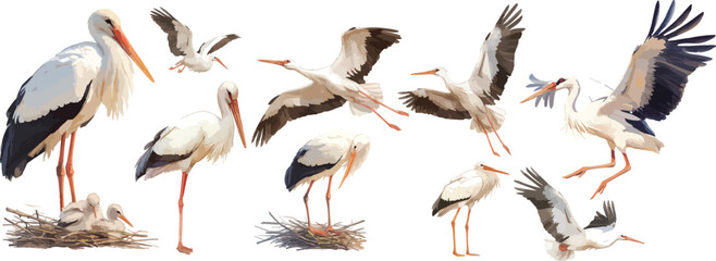 Wall Mural - stork watercolor clipart