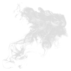 Canvas Print - PNG The isolated minimal smoke effect clothing apparel fashion.