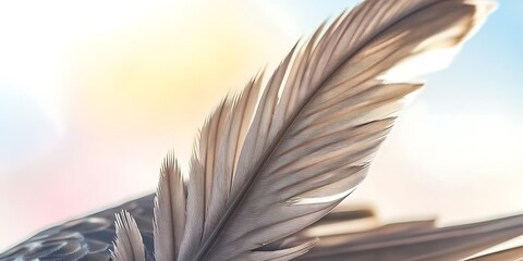 Poster - Close-up of a single soft bird feather against a blurred pastel background.