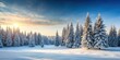 © Watcharapon - Snow-covered landscape with tall trees and a serene winter atmosphere, winter, landscape, snow, trees, cold, white, peaceful