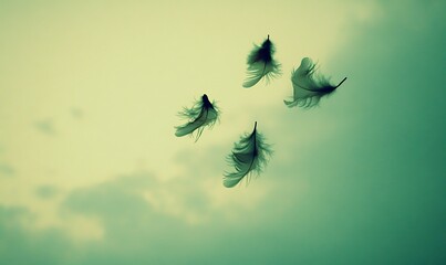 Canvas Print - Four feathers float gently on a soft, muted green sky.