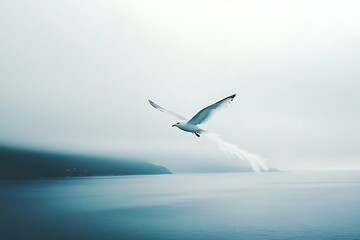 Wall Mural - Seagull in flight over calm sea, misty background.